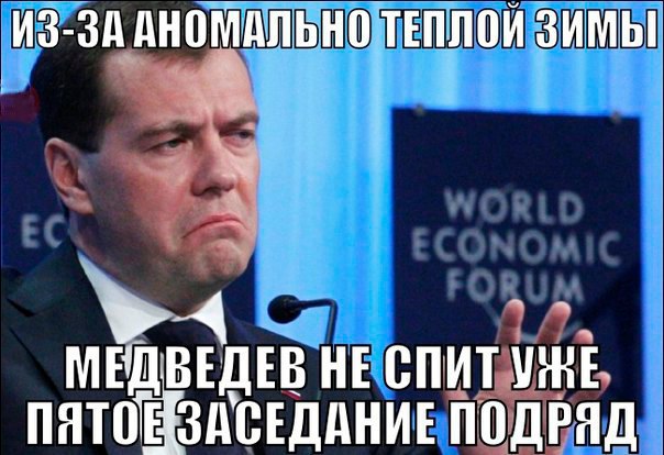 604x414, 66 Kb / медведев, бодрствование