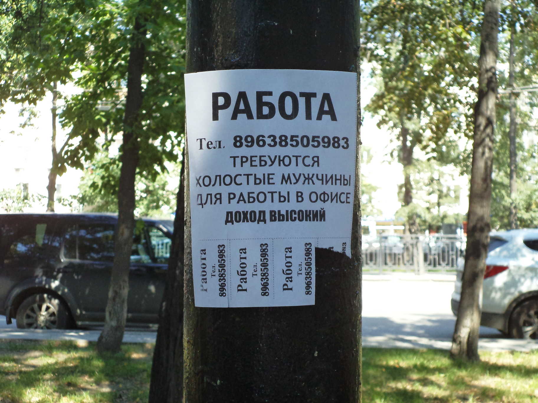 1824x1368, 248 Kb / столб, объявление, работа, офис