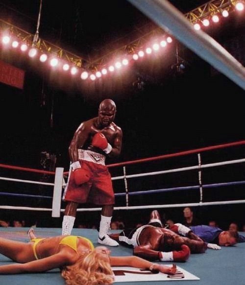 500x582, 44 Kb / бокс, нокаут