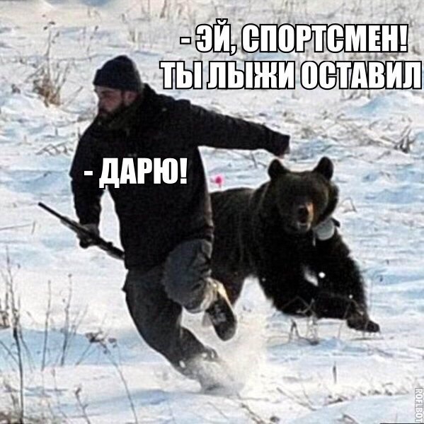 599x600, 78 Kb / спортсмен, лыжи, медведь, забота