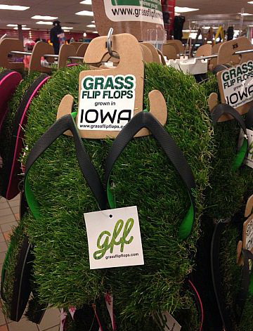 360x471, 81 Kb / тапки, шлепки, трава