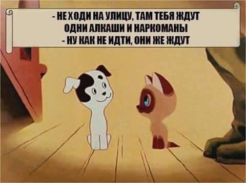 480x358, 35 Kb / алкоголики, наркоманы, ждут