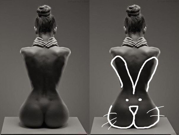 604x454, 31 Kb / Зайка