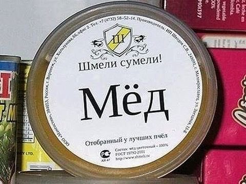 480x359, 43 Kb / шмели, сумели, мед