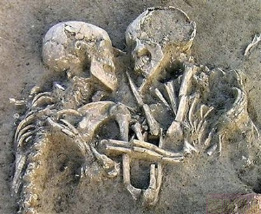 379x311, 65 Kb / скелеты