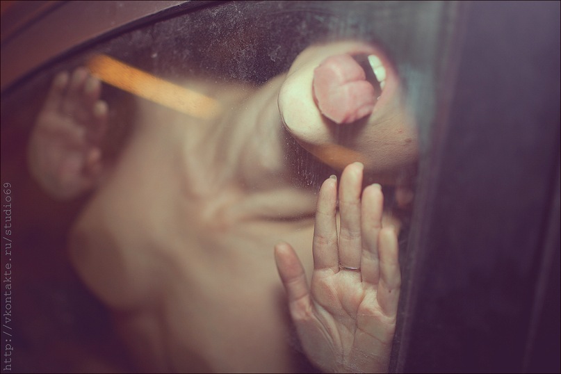 807x538, 66 Kb / авто, стекло, язык, сиськи