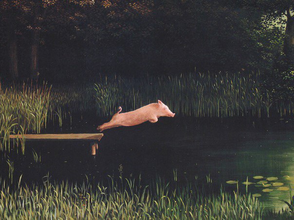 604x453, 67 Kb / прыжок в воду, озеро, поросенок