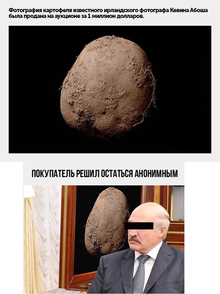 760x1016, 165 Kb / картошка, лукашенко