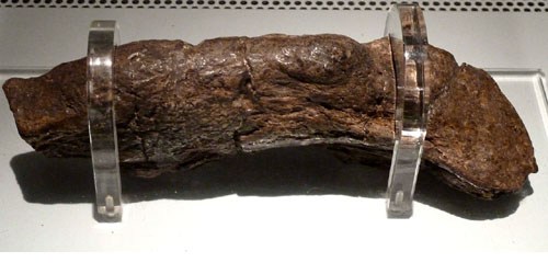 500x250, 37 Kb / говно, археология, музей, наука