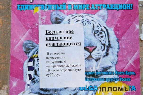 604x403, 84 Kb / Аттракцион, Тигр, бесплатное, кормление, нуждающихся