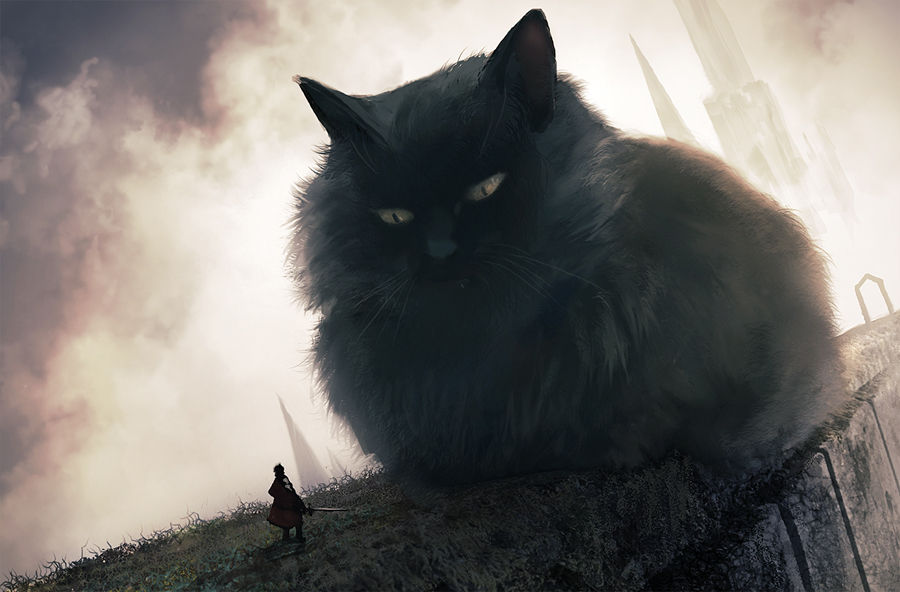 900x592, 361 Kb / котэ, человек