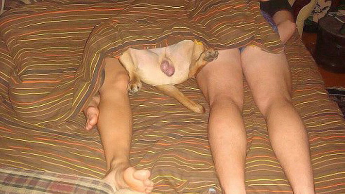 710x400, 99 Kb / ноги, лапы, яйца