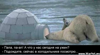 420x233, 27 Kb / медведь, белый, медвежата, иглу, холодильник