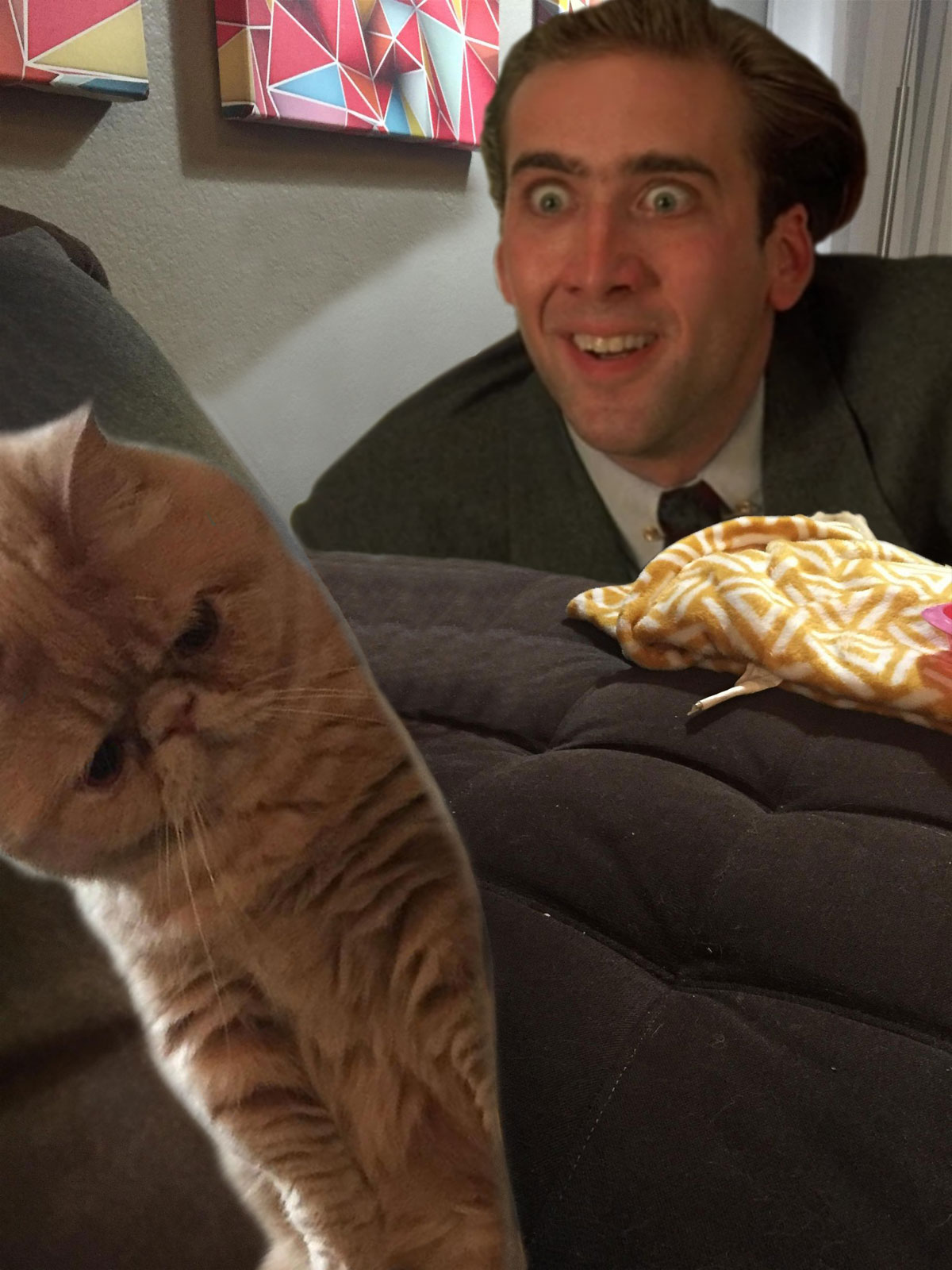 1200x1600, 237 Kb / николас кейдж, кот, голова, подушка, фотошоп