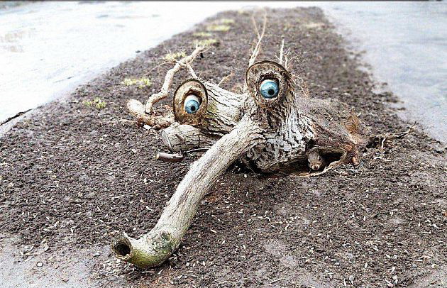 630x406, 156 Kb / дерево, глаза, хобот, коряга