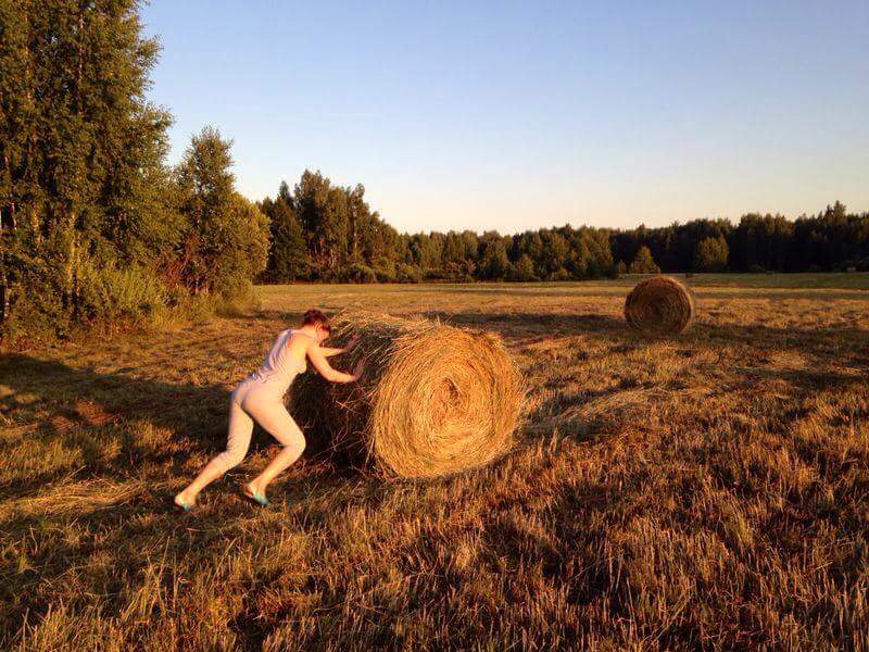 800x600, 88 Kb / сено, рулон, девушка