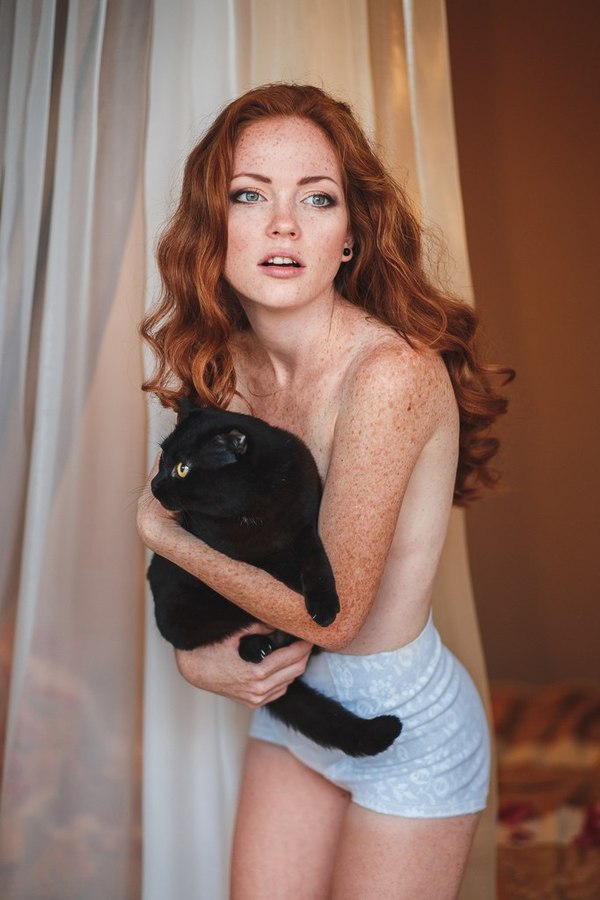 600x900, 76 Kb / рыжая, кот