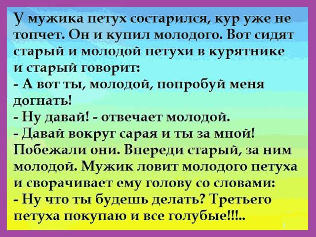 640x480, 58 Kb / голубые петухи