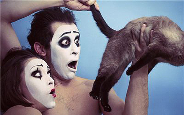 600x375, 78 Kb / мимы, кот, хвост, удивление