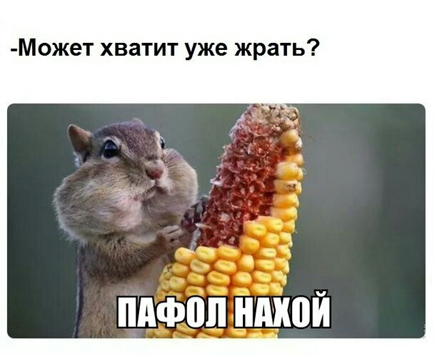 612x499, 132 Kb / Хомяк, кукуруза