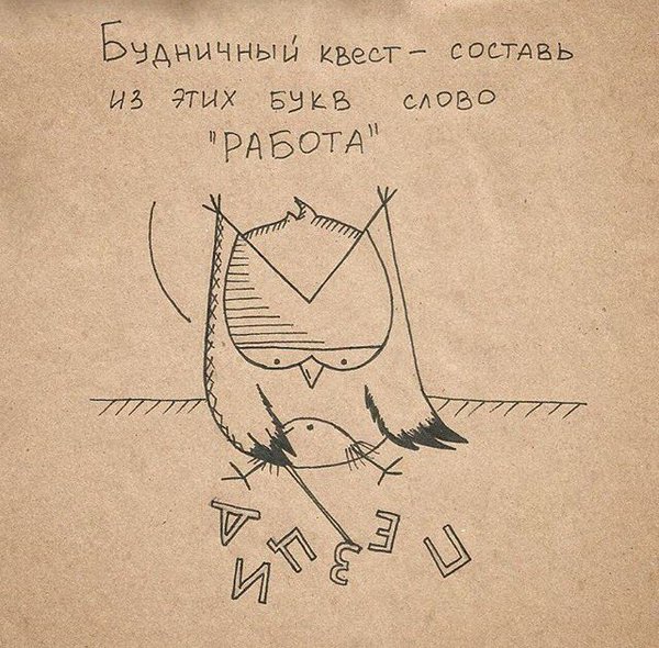 600x590, 96 Kb / квест, работа, сова