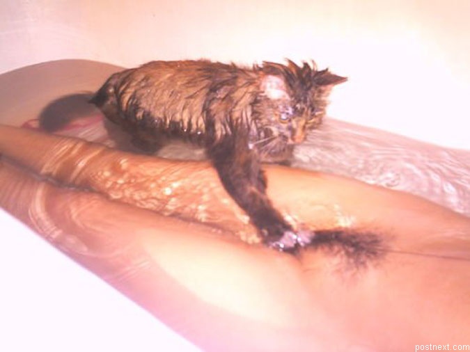 675x506, 52 Kb / ванна, кустан, лобок