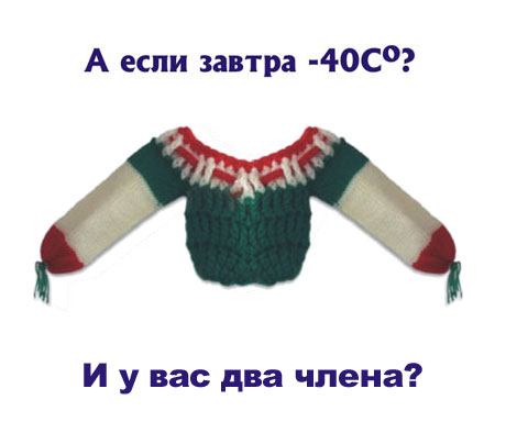 460x394, 20 Kb / чехол двойной