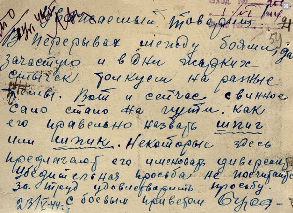 600x435, 89 Kb / шпиг, шпик, дилемма