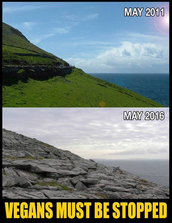 600x775, 95 Kb / веганы, скала, зелень