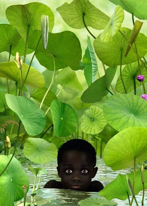 500x700, 87 Kb / негритенок, водоросли, вода