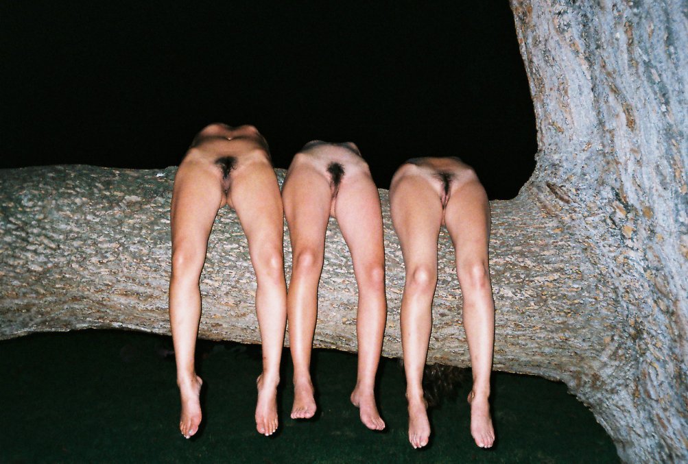 1003x677, 147 Kb / дерево, девки, три