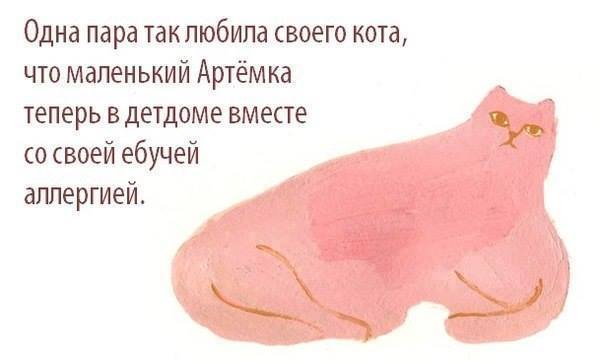 604x363, 20 Kb / рисунок, кот, любовь, аллергик