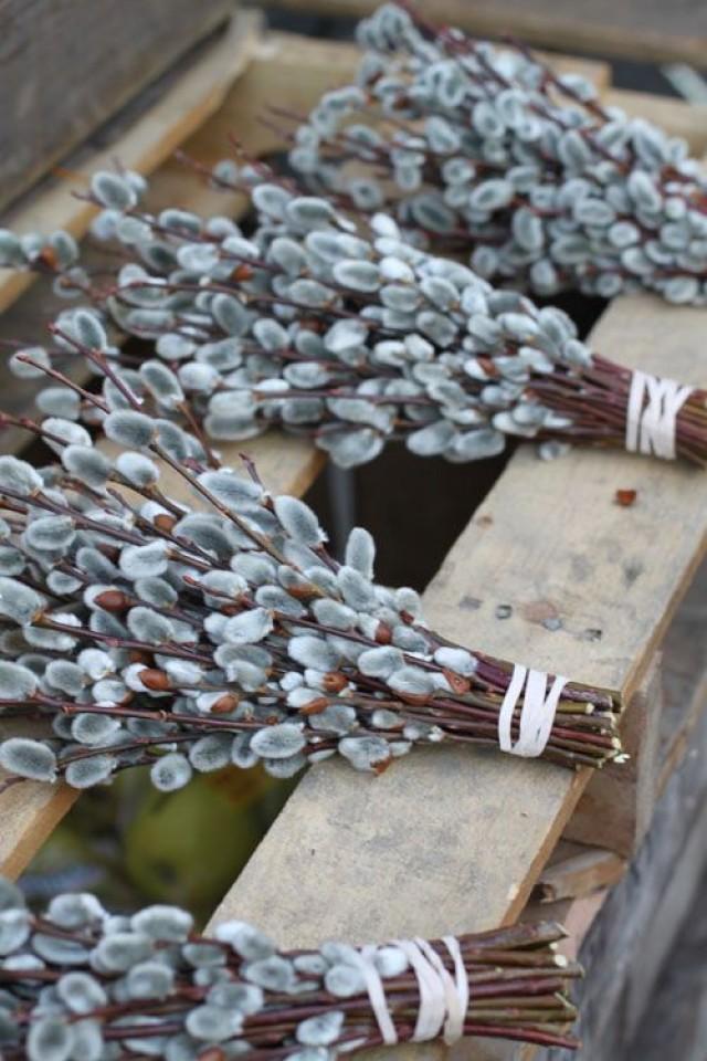 640x960, 80 Kb / котики, веник, букеты, паллеты, яблоко, верба