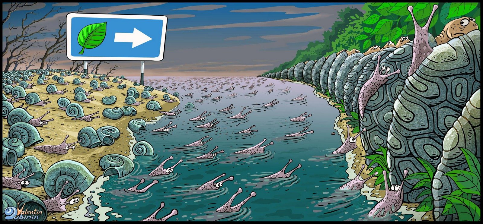 1600x743, 380 Kb / улитки, черепахи, ручей, река, вода, Валентин, Дубинин