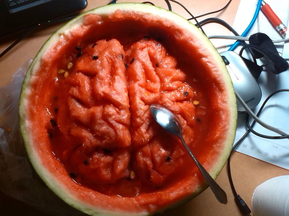 1000x747, 174 Kb / ложка, арбуз, мозг