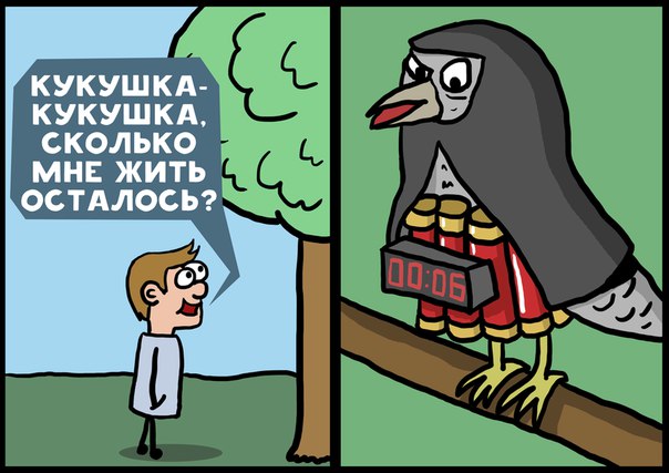 604x427, 59 Kb / кукушка, бомба, джихад