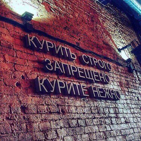 480x478, 77 Kb / курить, нежно, строго