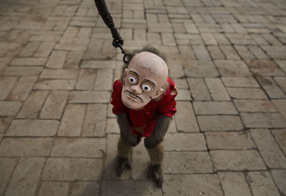 1200x820, 305 Kb / обезьяна, маска, поводок