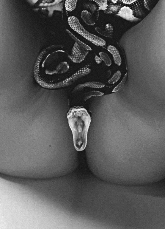 555x768, 63 Kb / девушка, змея, ч/б