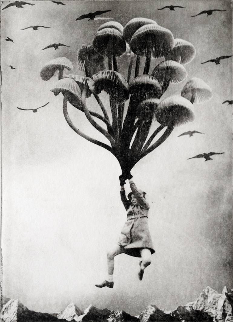 770x1066, 100 Kb / грибы, птицы, горы, ч/б, девочка