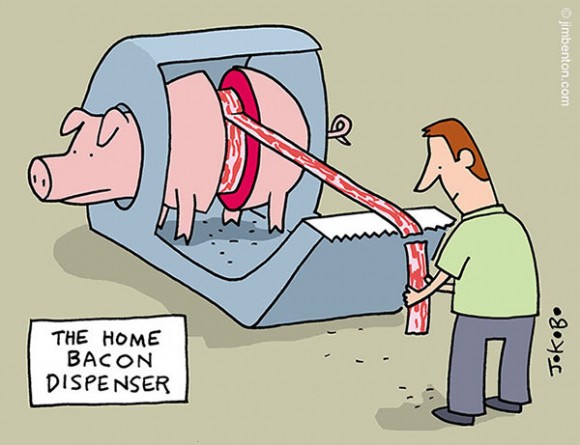 580x445, 52 Kb / свинья, бекон, машина