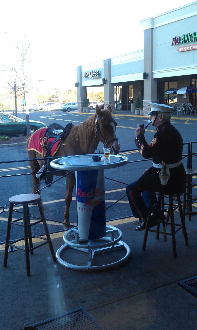 800x1338, 155 Kb / перекур, лошадь, трубка