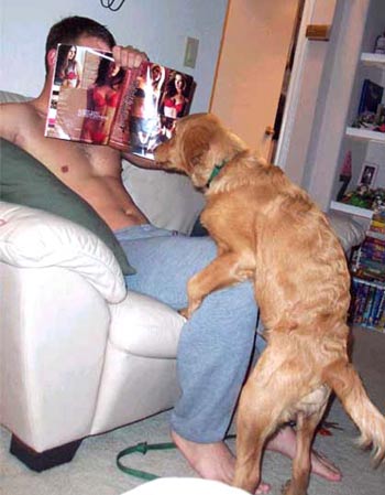 350x449, 28 Kb / мужик, журнал, собака