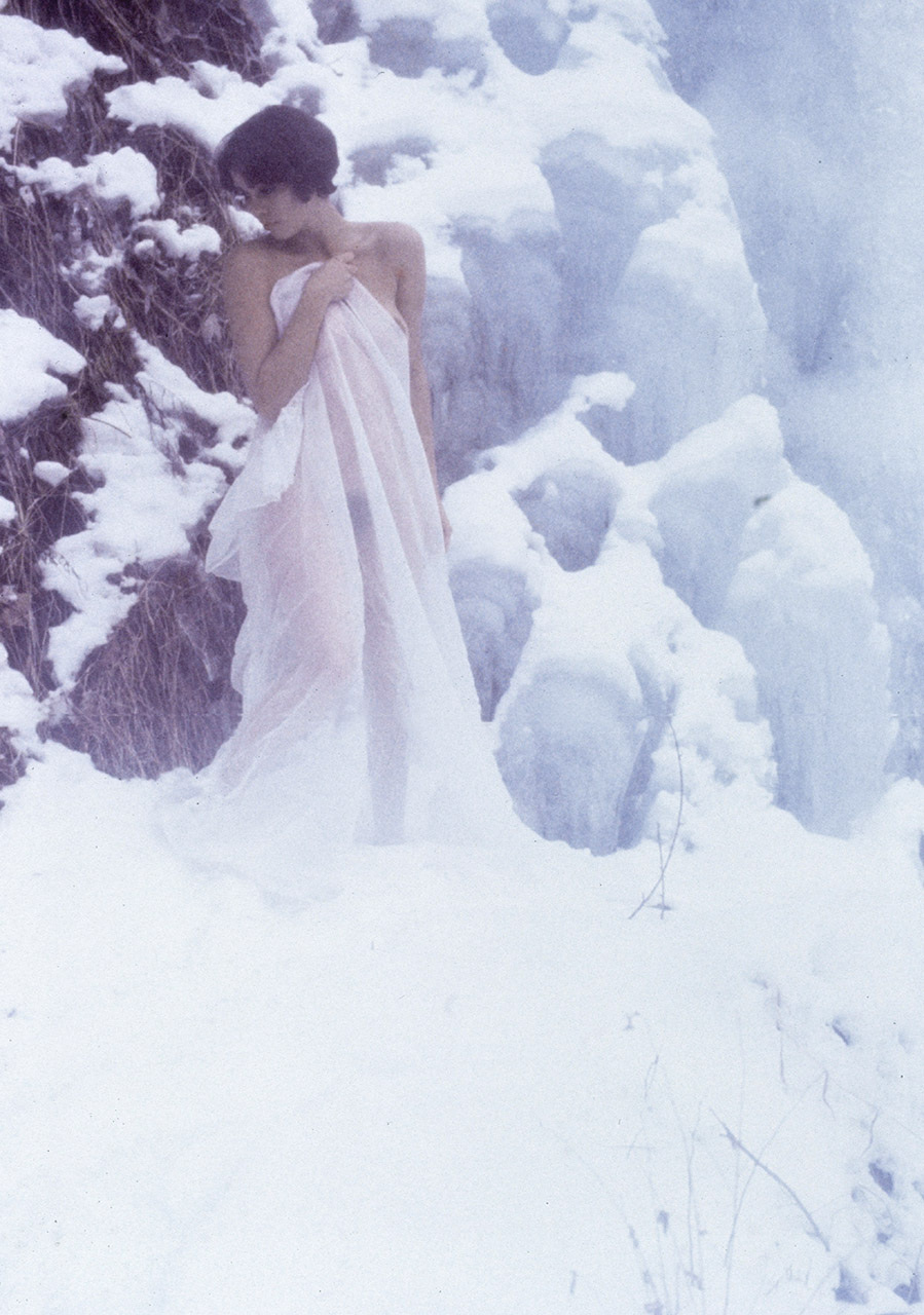 899x1280, 308 Kb / деревья, снег, платок, простыня, Robert, Farber