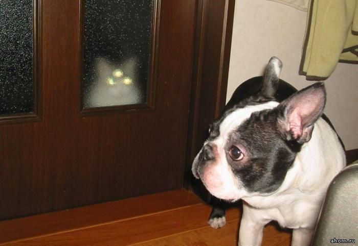 700x482, 43 Kb / мы пришли с миром, земляне