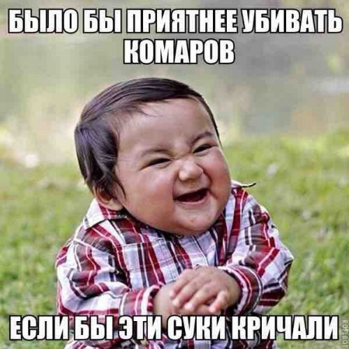 500x500, 60 Kb / комары, крик, убийство, боль, мечты