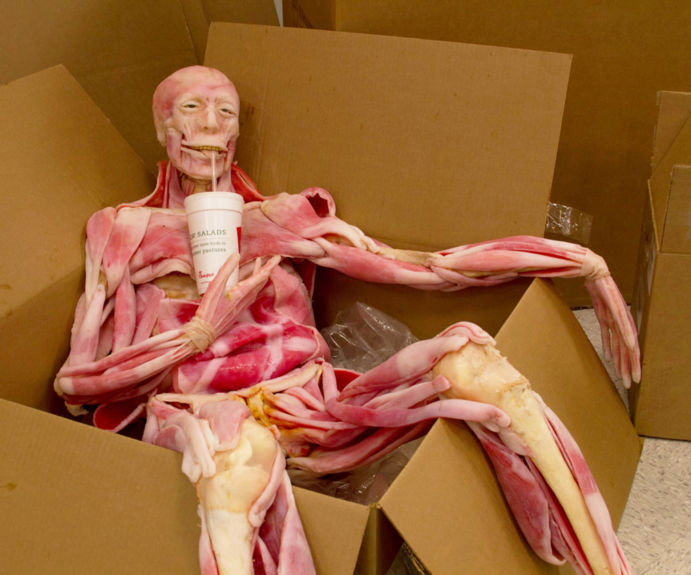 1000x833, 386 Kb / манекен, перерыв, коробка, стакан, трубочка