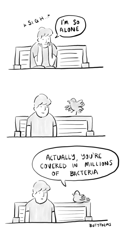 399x750, 62 Kb / одиночество, бактерии, птица, скамейка