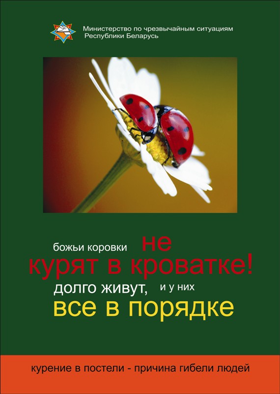 570x800, 73 Kb / мчс, социальная реклама, божьи коровки, курение, ромашка