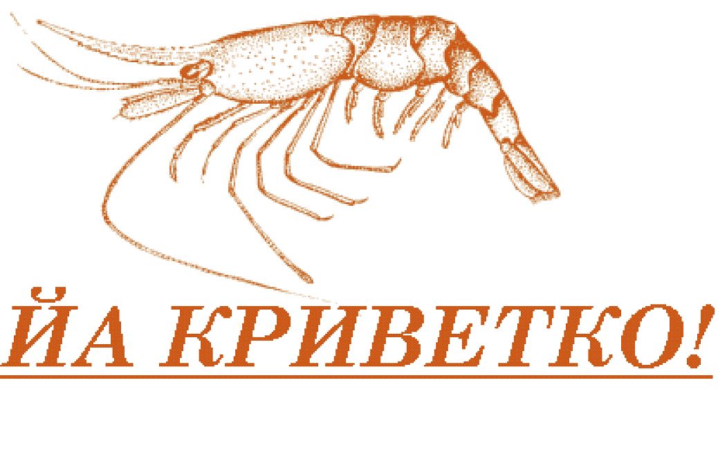 1038x683, 85 Kb / Криветко, креветка